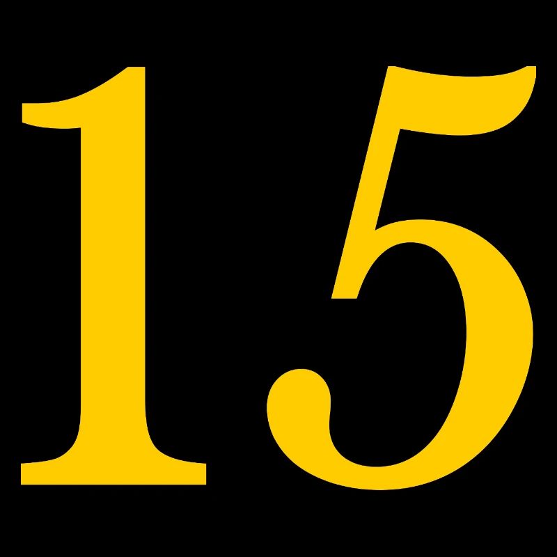 15. 15 ANS. 15e ANNIVERSAIRE. ANNIVERSAIRE 15 ANS.
