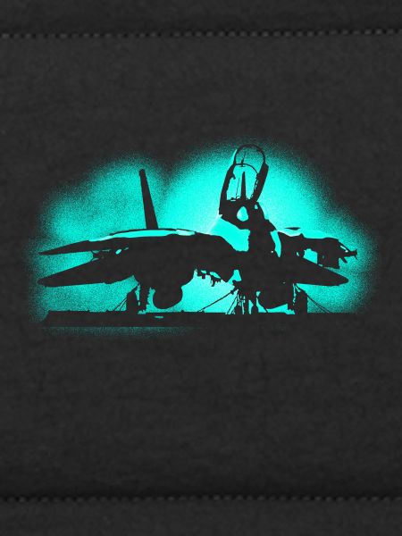 Jet Tomcat