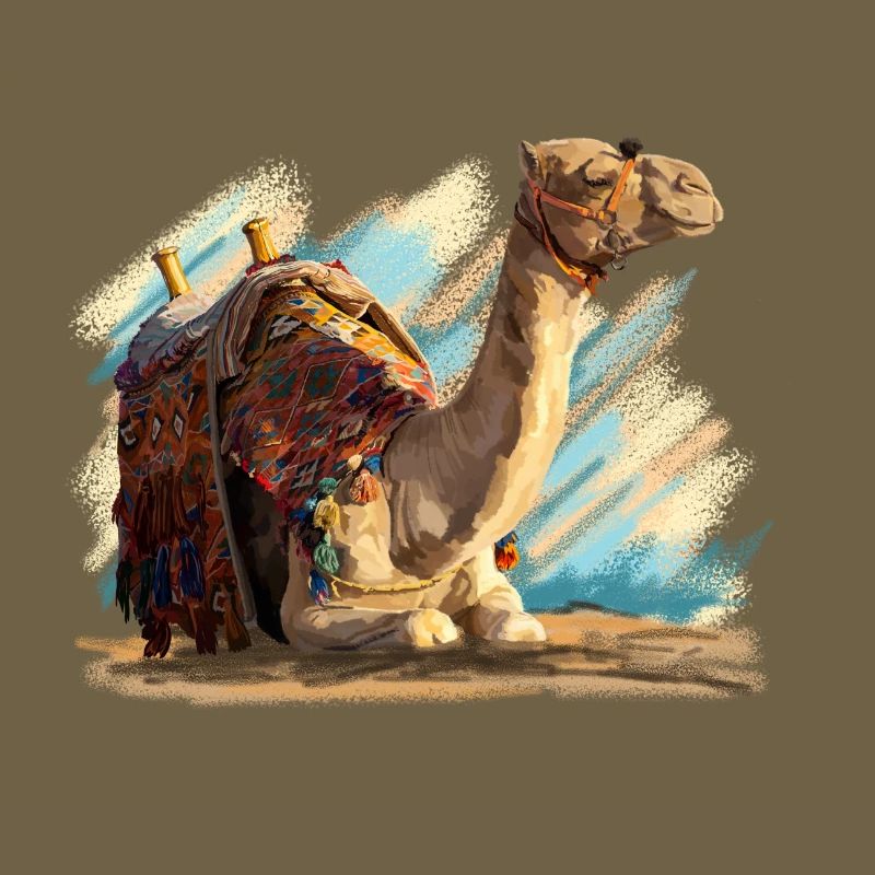 Camel