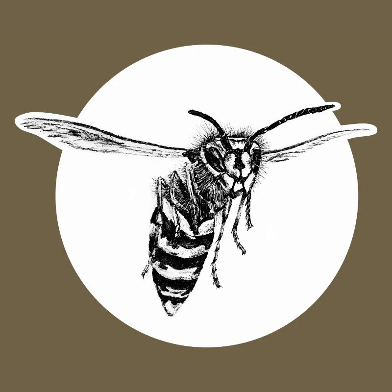 Wasp - Bee - Insect