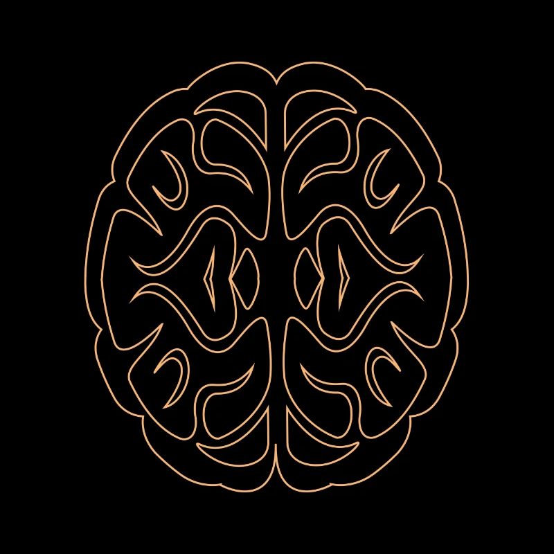 Cerveau01