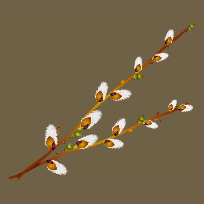 Branches délicates de manche de palmier – Motif printanier