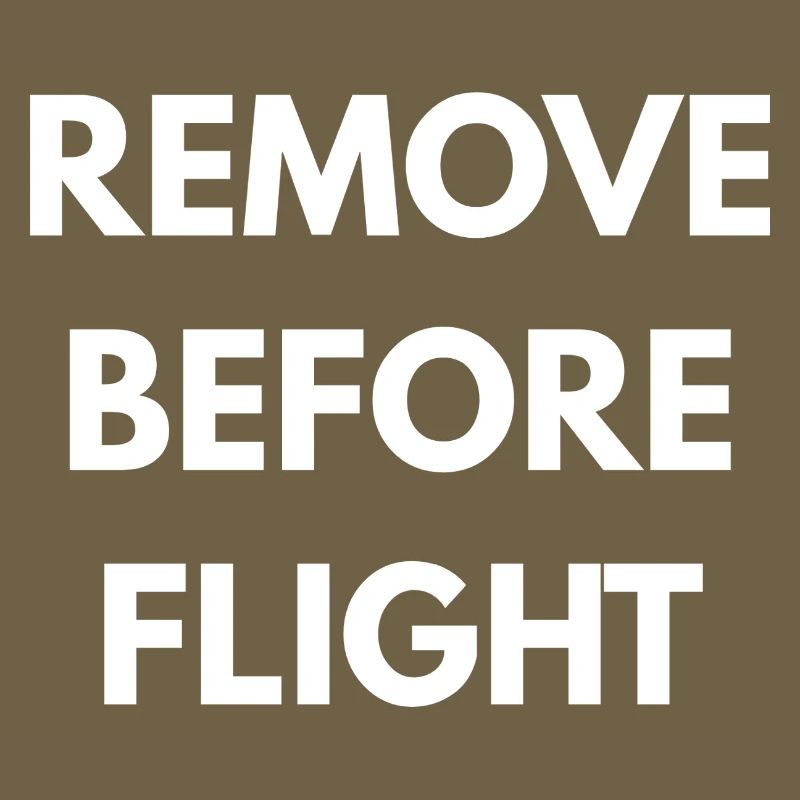 REMOVE BEFORE FLIGHT 
