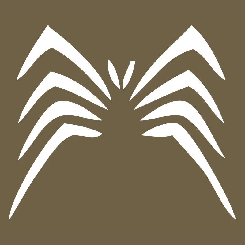 Spinne