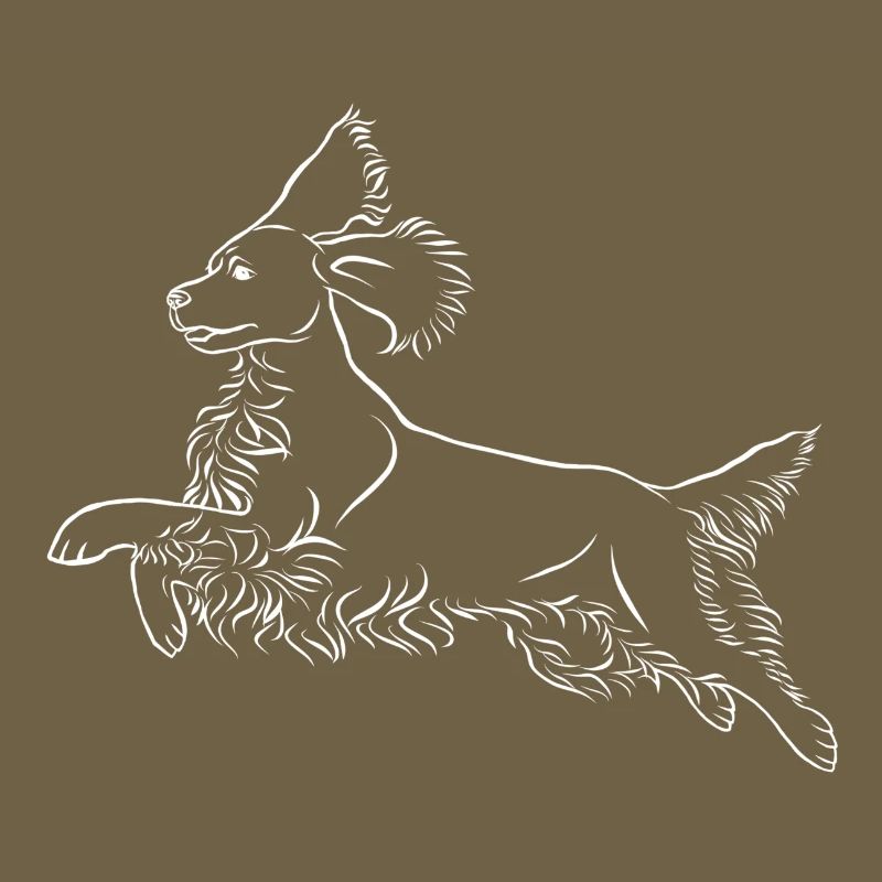 Springer Spaniel