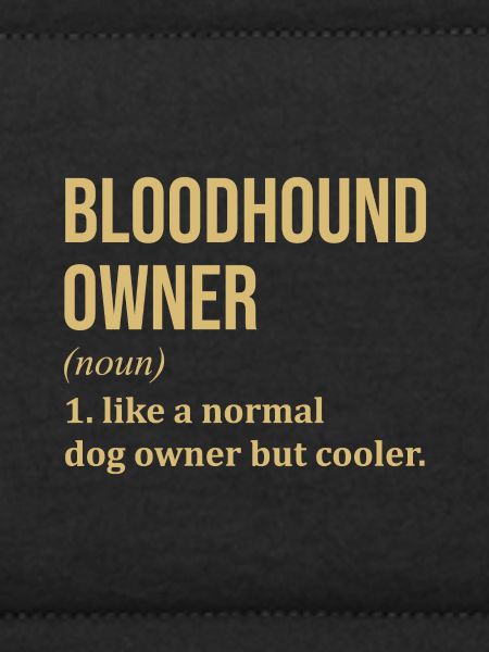 Bloodhound Bloodhound Bloodhound