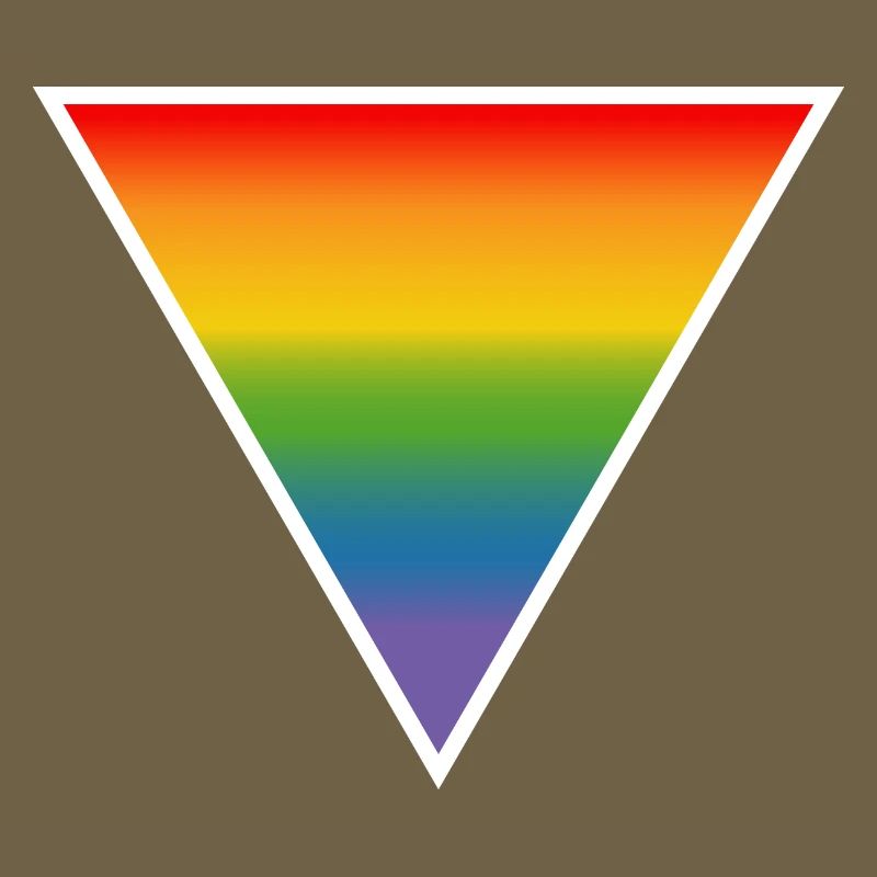 Rainbow LGBTQIA triangle white