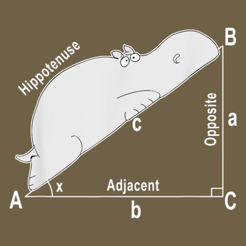 Hippo Math Math Chemise drôle drôle de professeur