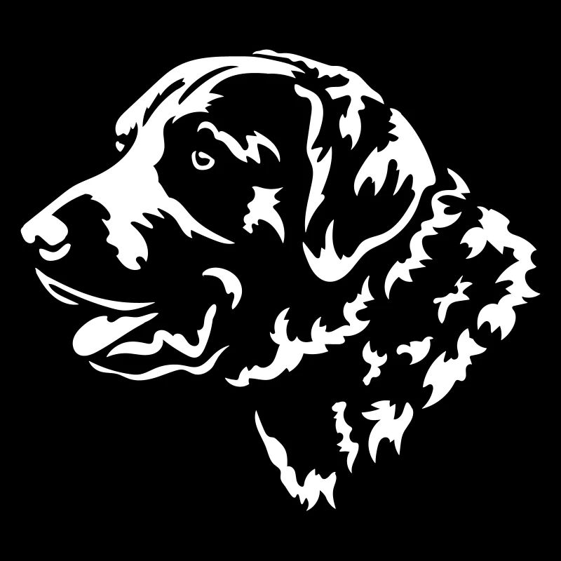 Chesapeake Bay Retriever Kopf "Black Edition"