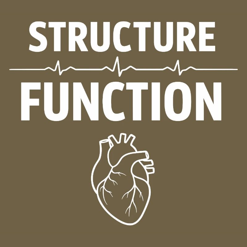 Herzultraschalltechniker Echo-techniker
