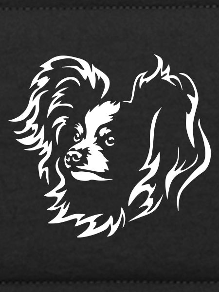 Papillon Kopf "Black Edition"