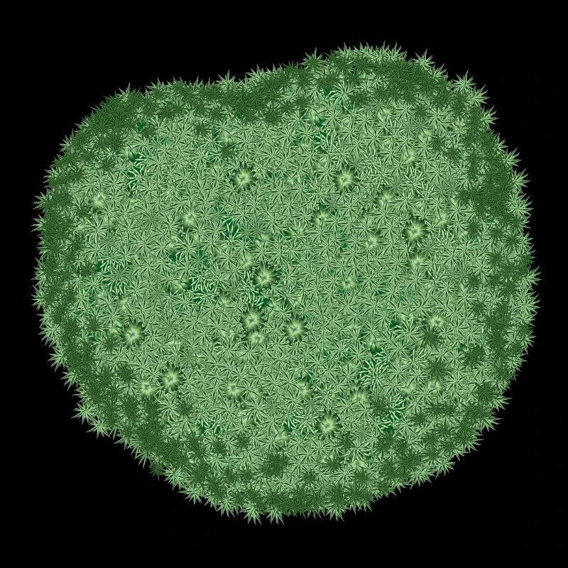 natural fresh-looking green moss cushion