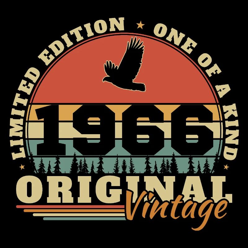 1966 Vintage Retro Birthday Gift