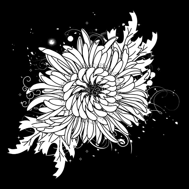 weiße Chrysantheme