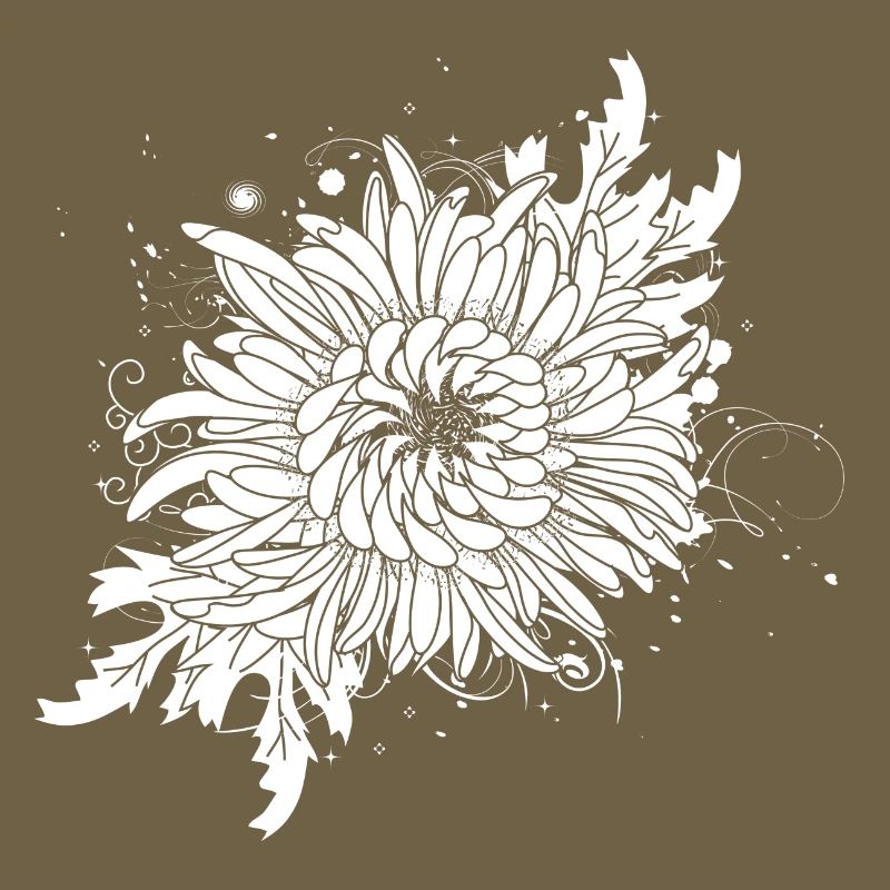 white chrysanthemum