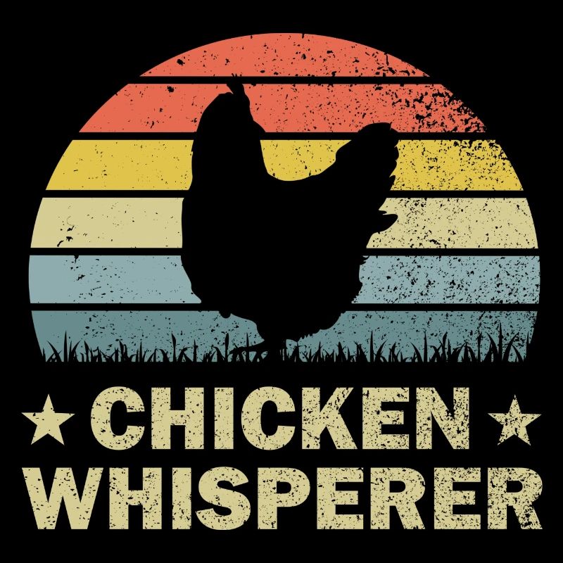 Poulet poules