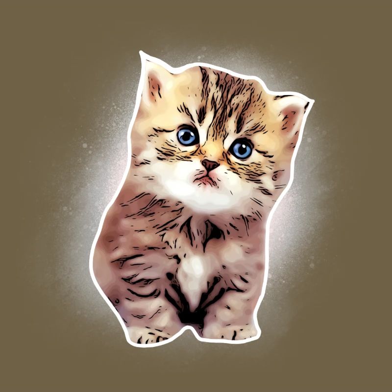 Bébé chat