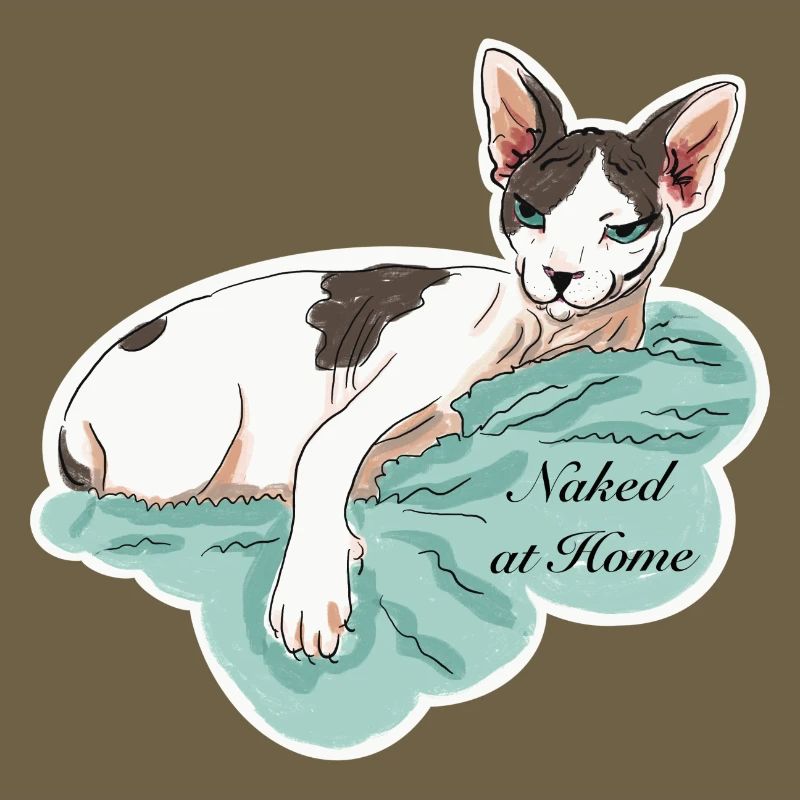 Sphynx nu à la maison
