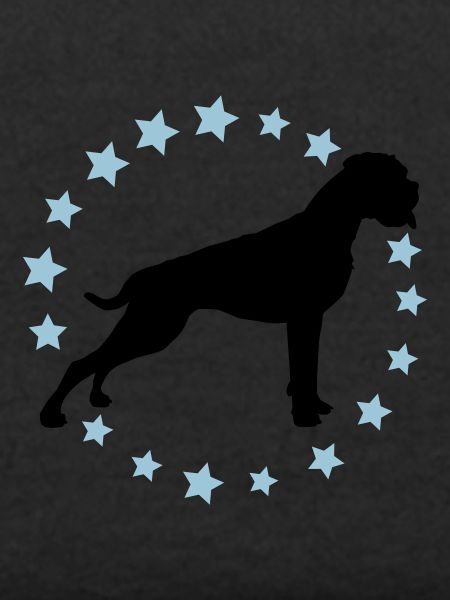 Boxer Sternenkreis 2 farb