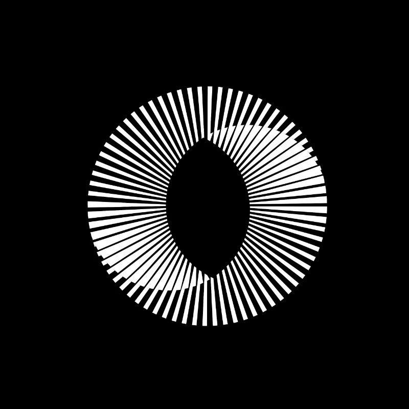 Cercle illusion optique illusion cadeau paradoxe