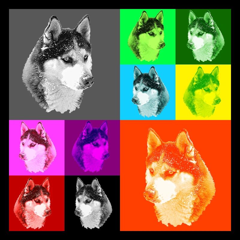 Pop Art Husky Portrait