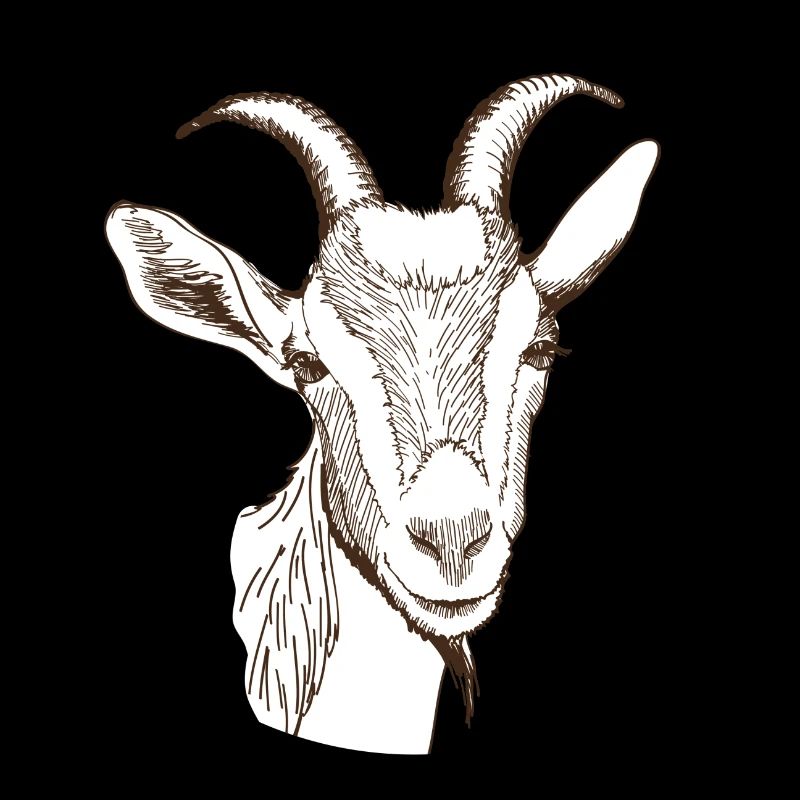 Goat