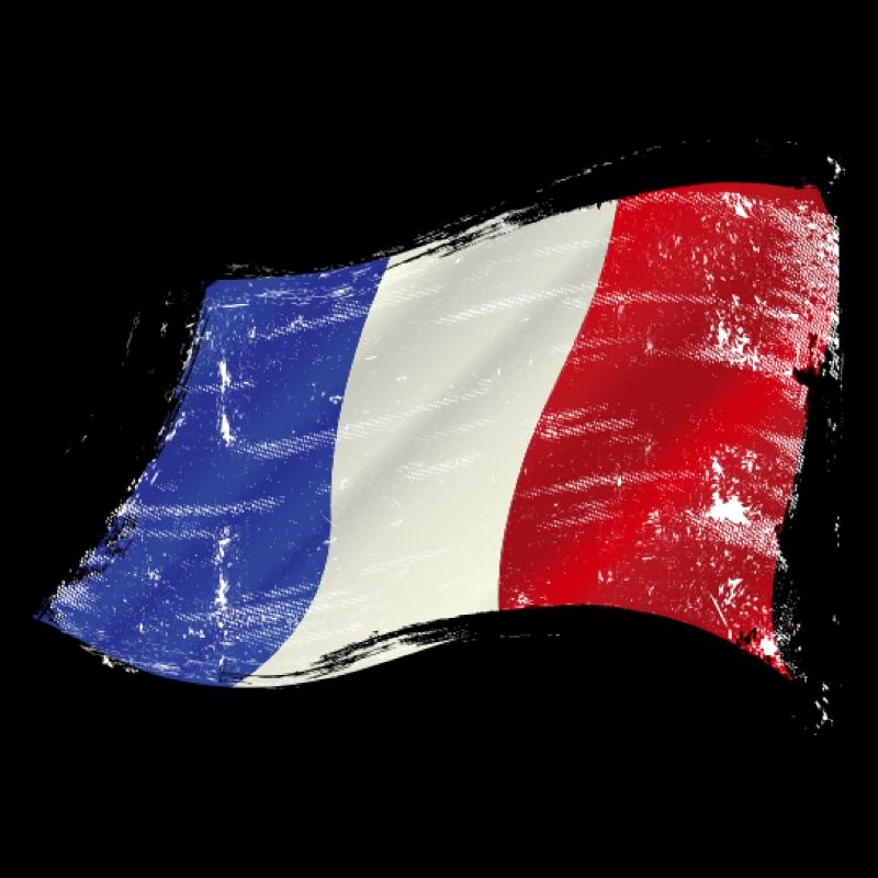 Frankreich ✅ Frankreich Flagge ✔