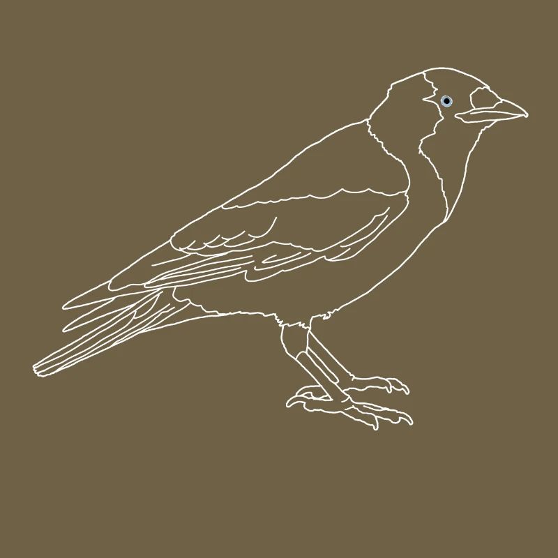 Dohle lineart