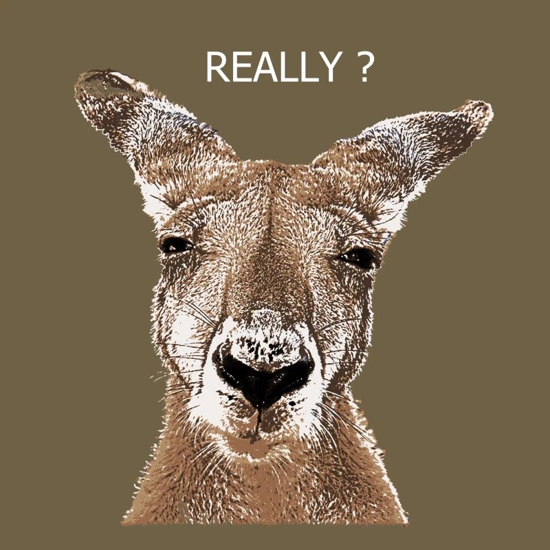 Kangaroo really