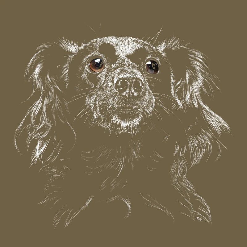 Chien