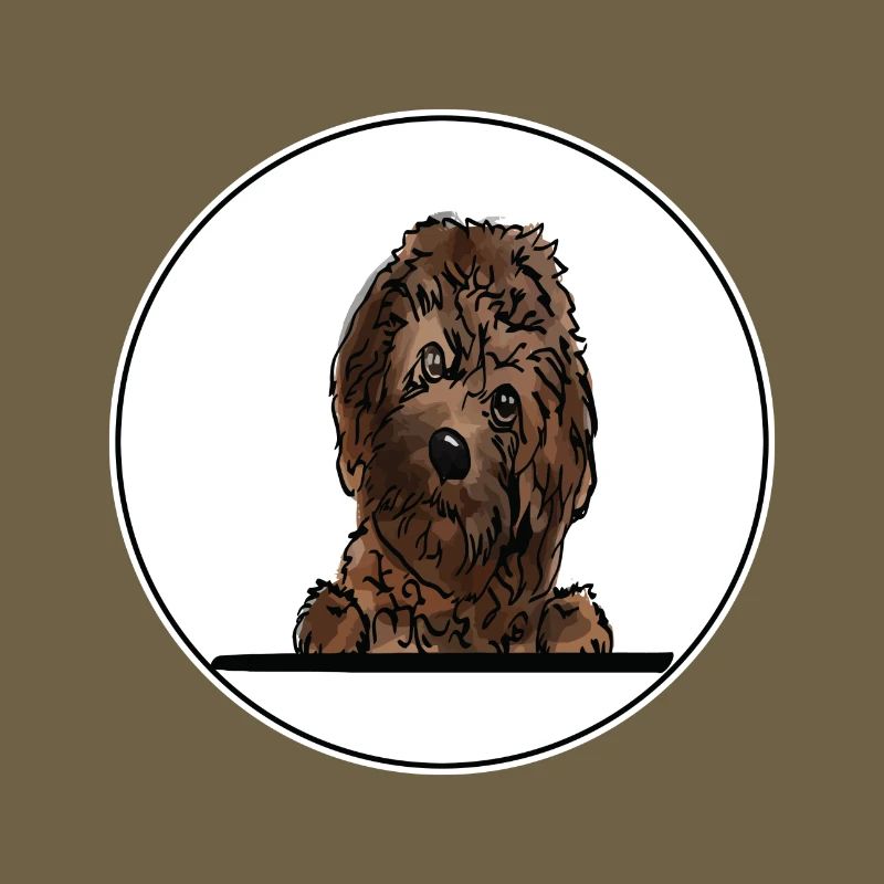 Cavapoo Dog for Peeking Dog Lovers