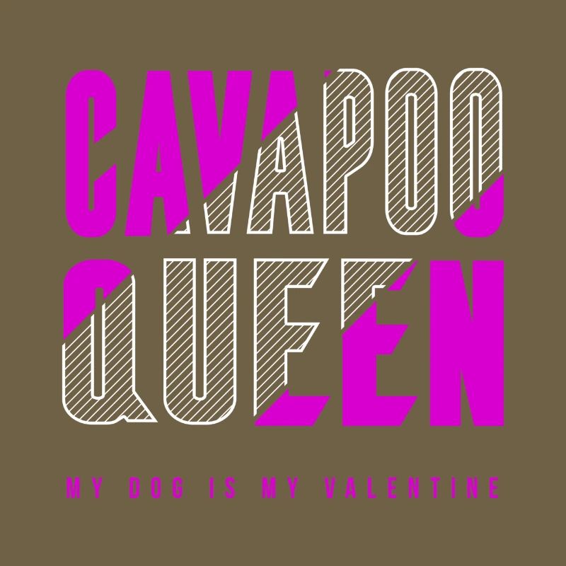 Cavapoo Königin