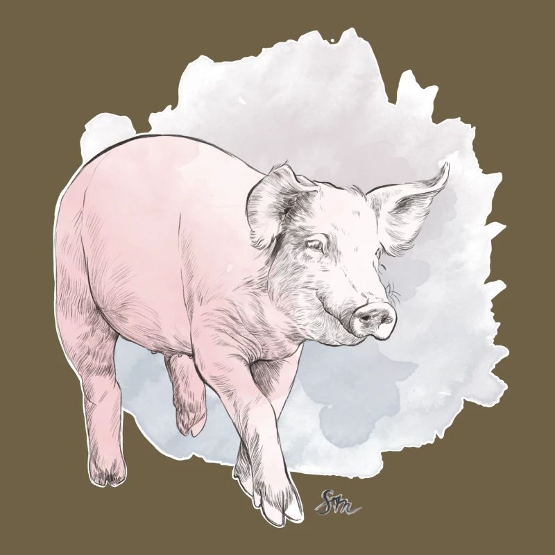 Cochon mignon devant une masse colorée