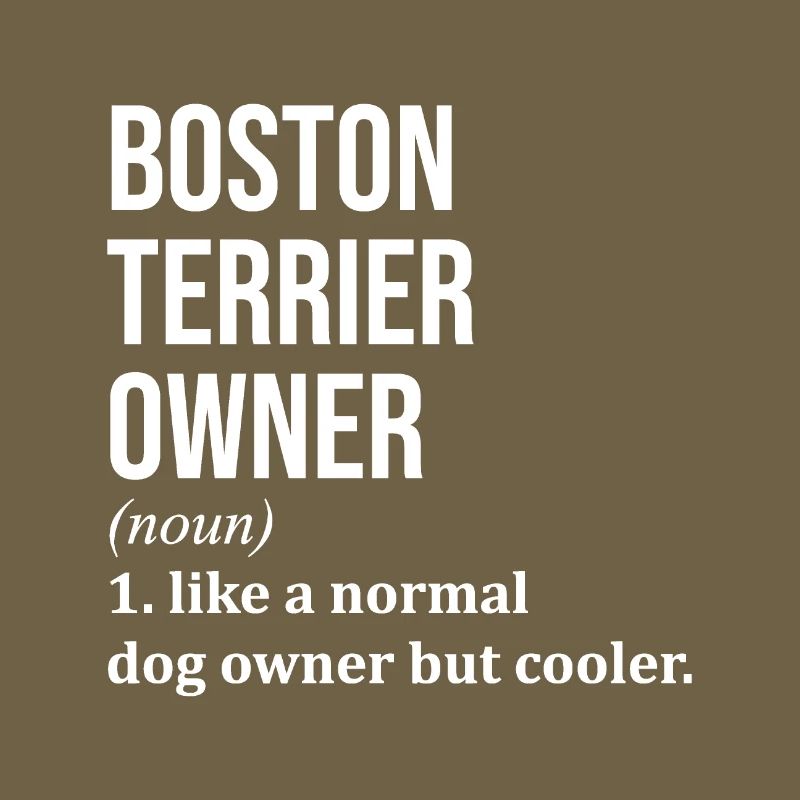 Boston Terrier