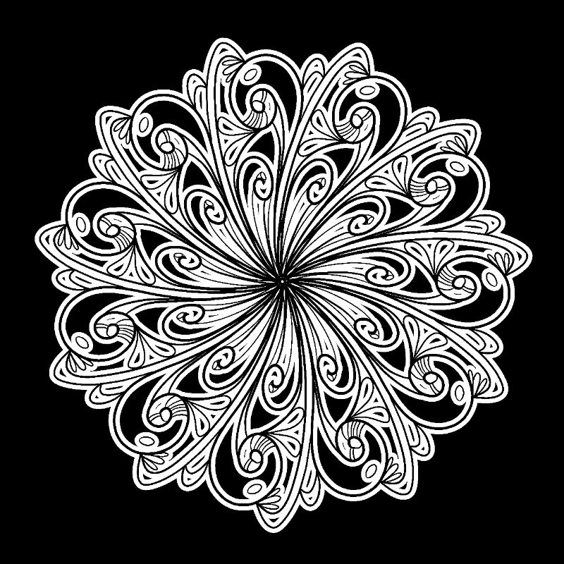 design floral noir et blanc