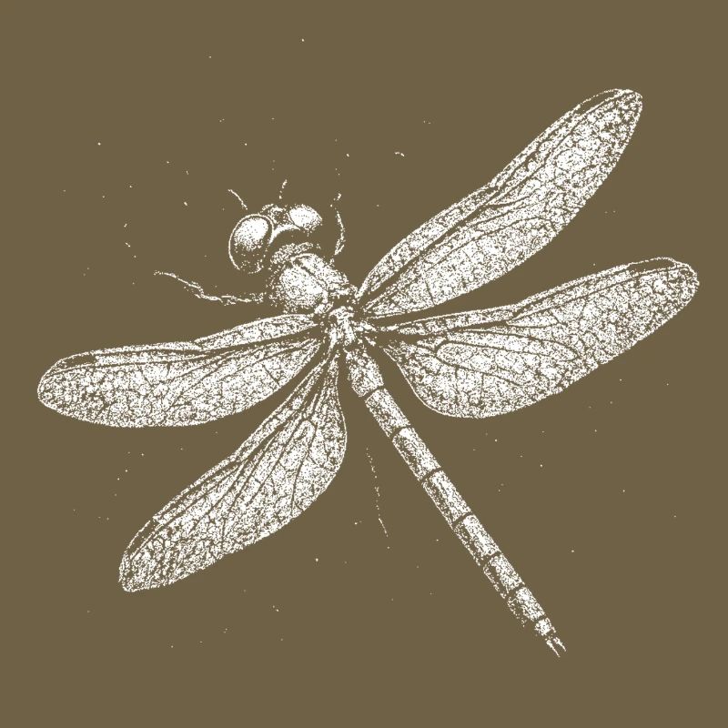 Libellule
