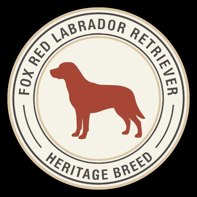Conception de l’emblème du Labrador Retriever