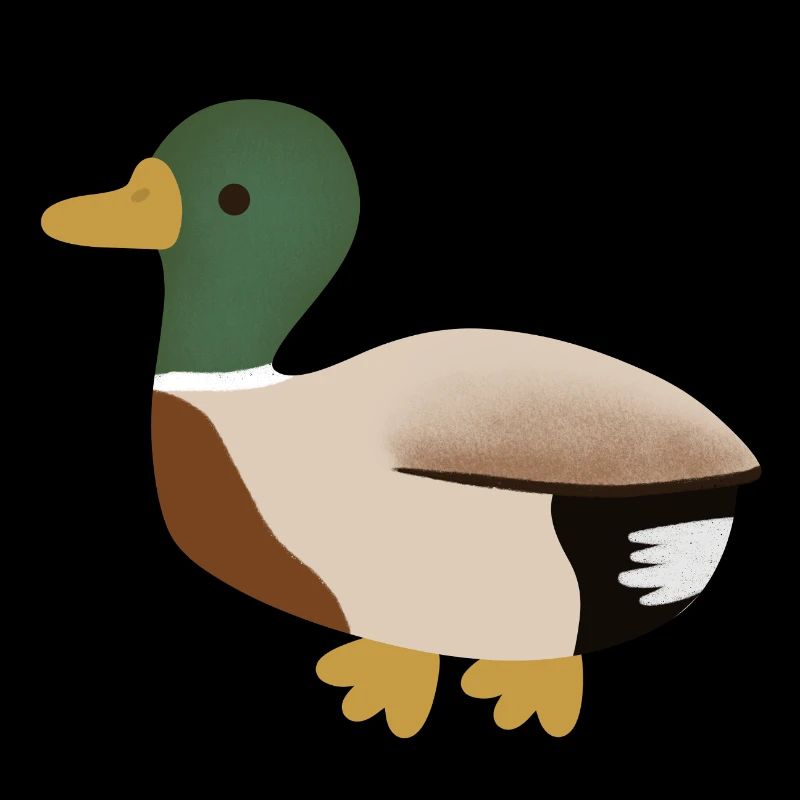 Mallard Duck Minimal Illustration