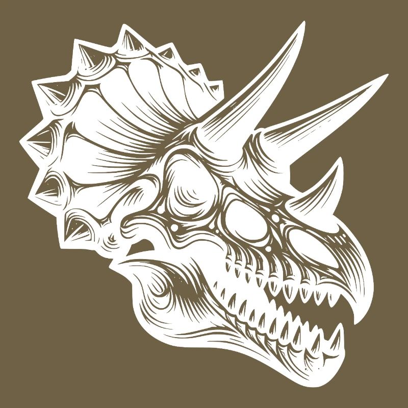Dinosaur Triceratops Head Fossil Bone