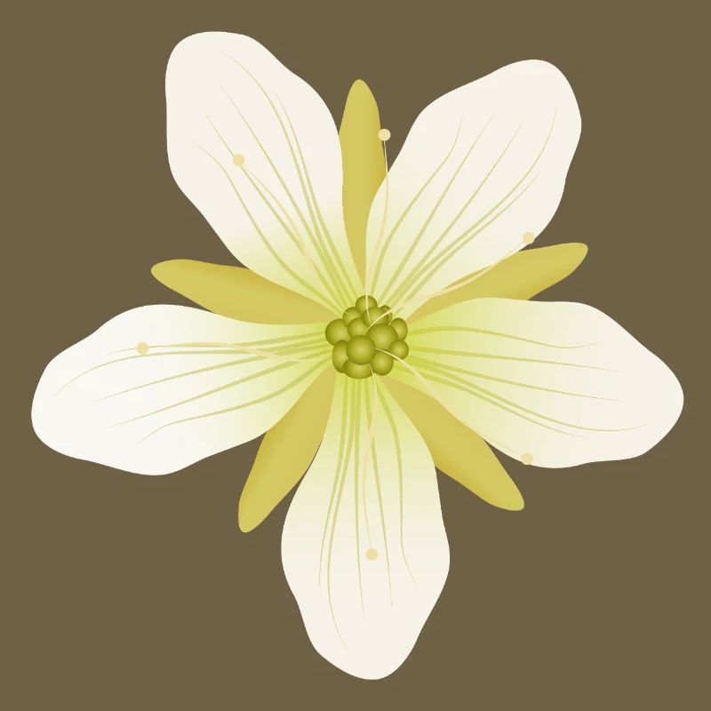 Fleurs délicates de Vénus attrape-mouches en pastel