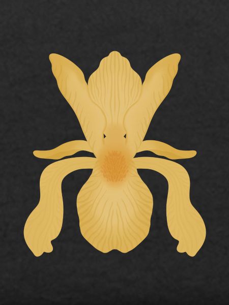 Golden Iris Bloom