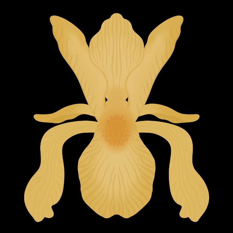 Golden Iris Bloom