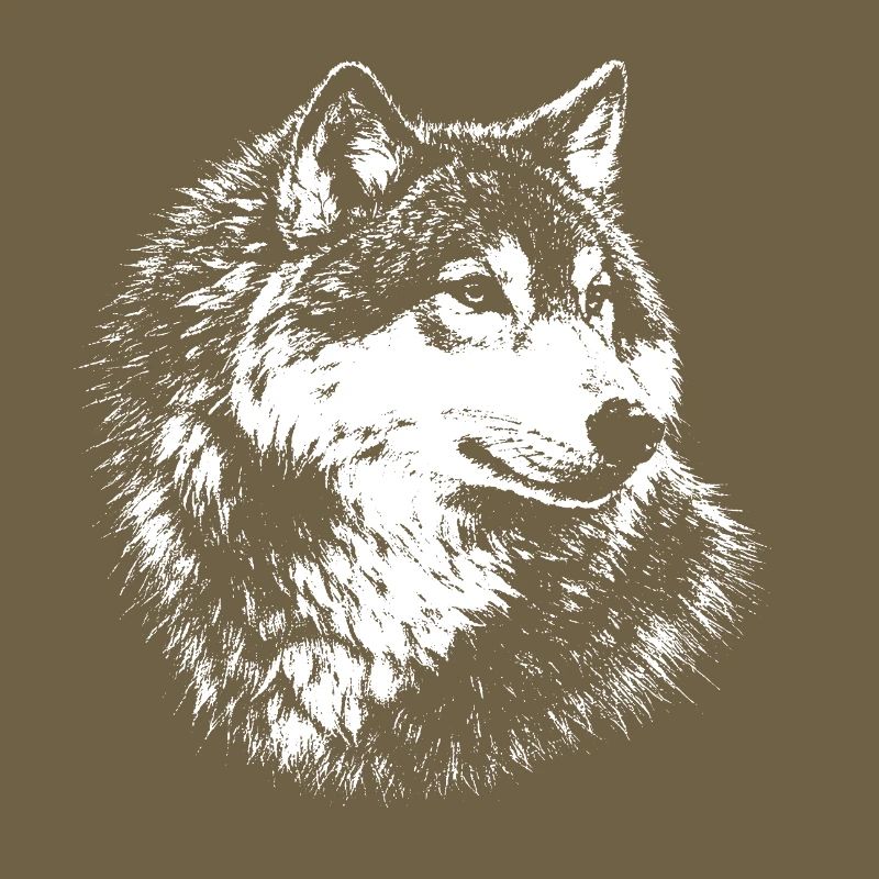 Wolf – Grafik mit weißem Bleistift