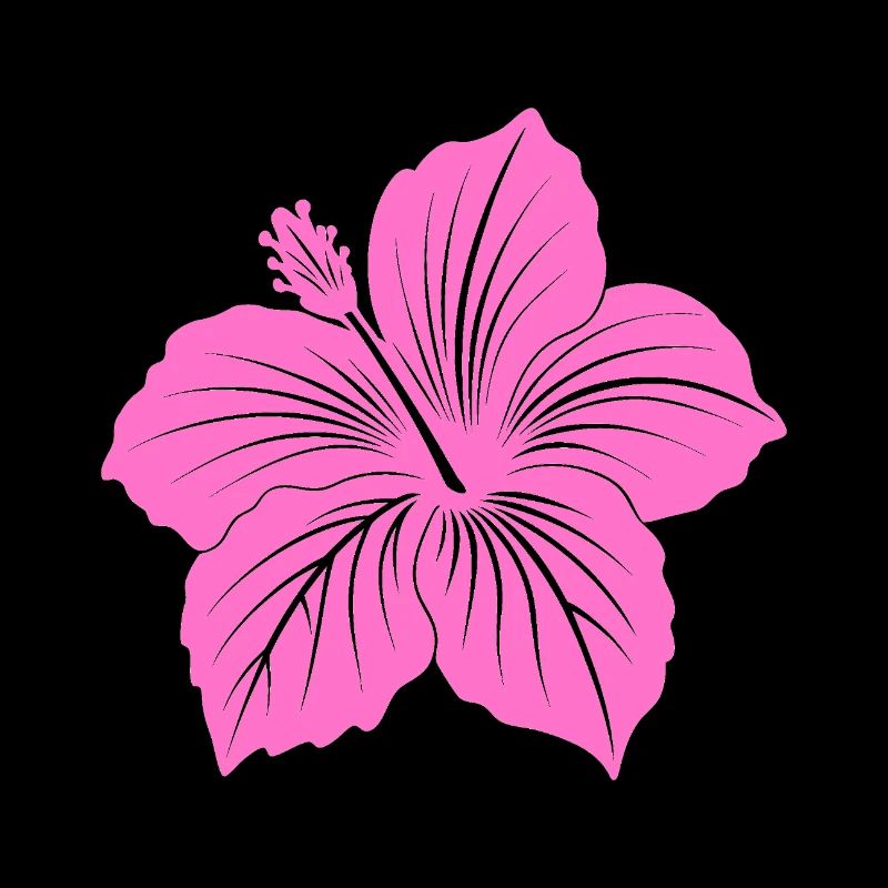 Fleur d’hibiscus