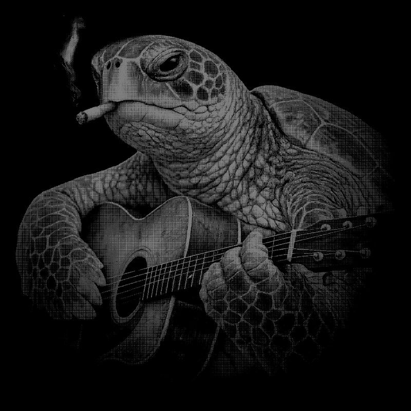 Tortue Guitare Nocturne