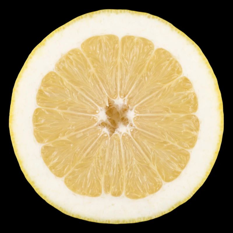 Citron et agrumes, tranche de citron, chemise, sweat à capuche