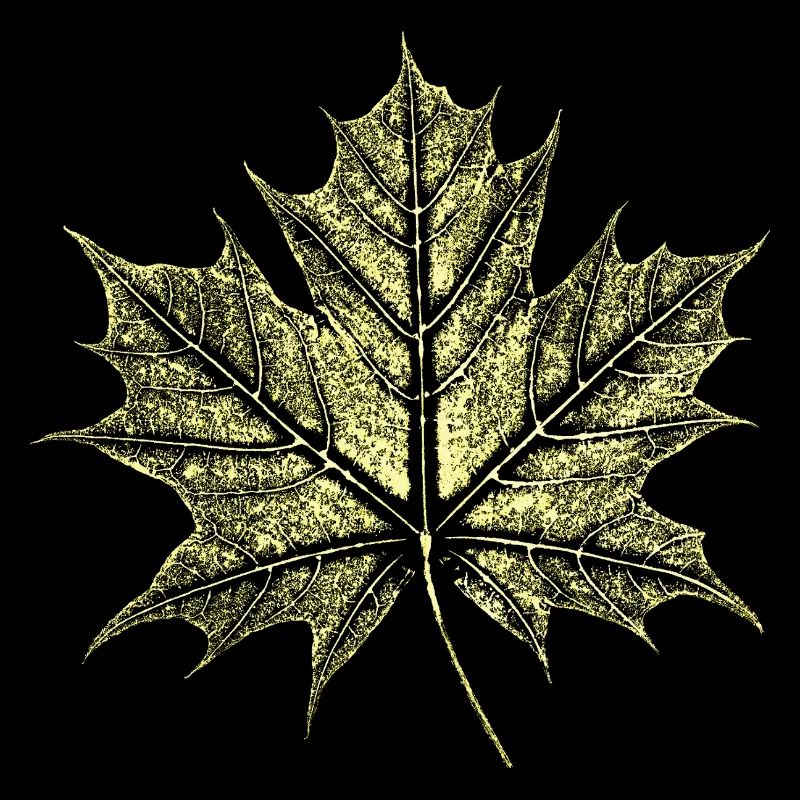 Maple Leaf / Botany - Natural