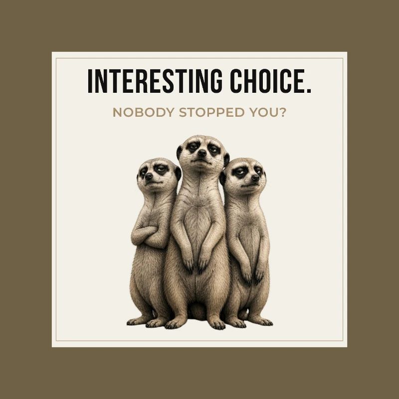 Trio de suricates à choix intéressant