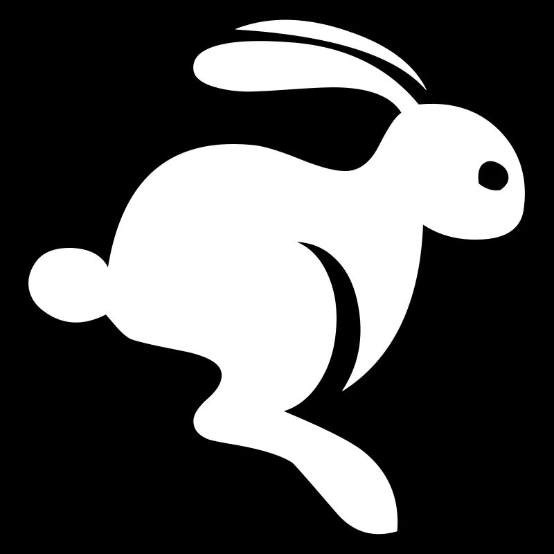 Un lapin charmant