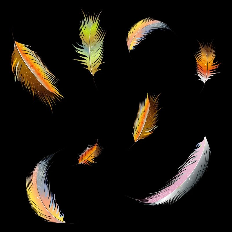 plumes délicates et colorées symbole de légèreté